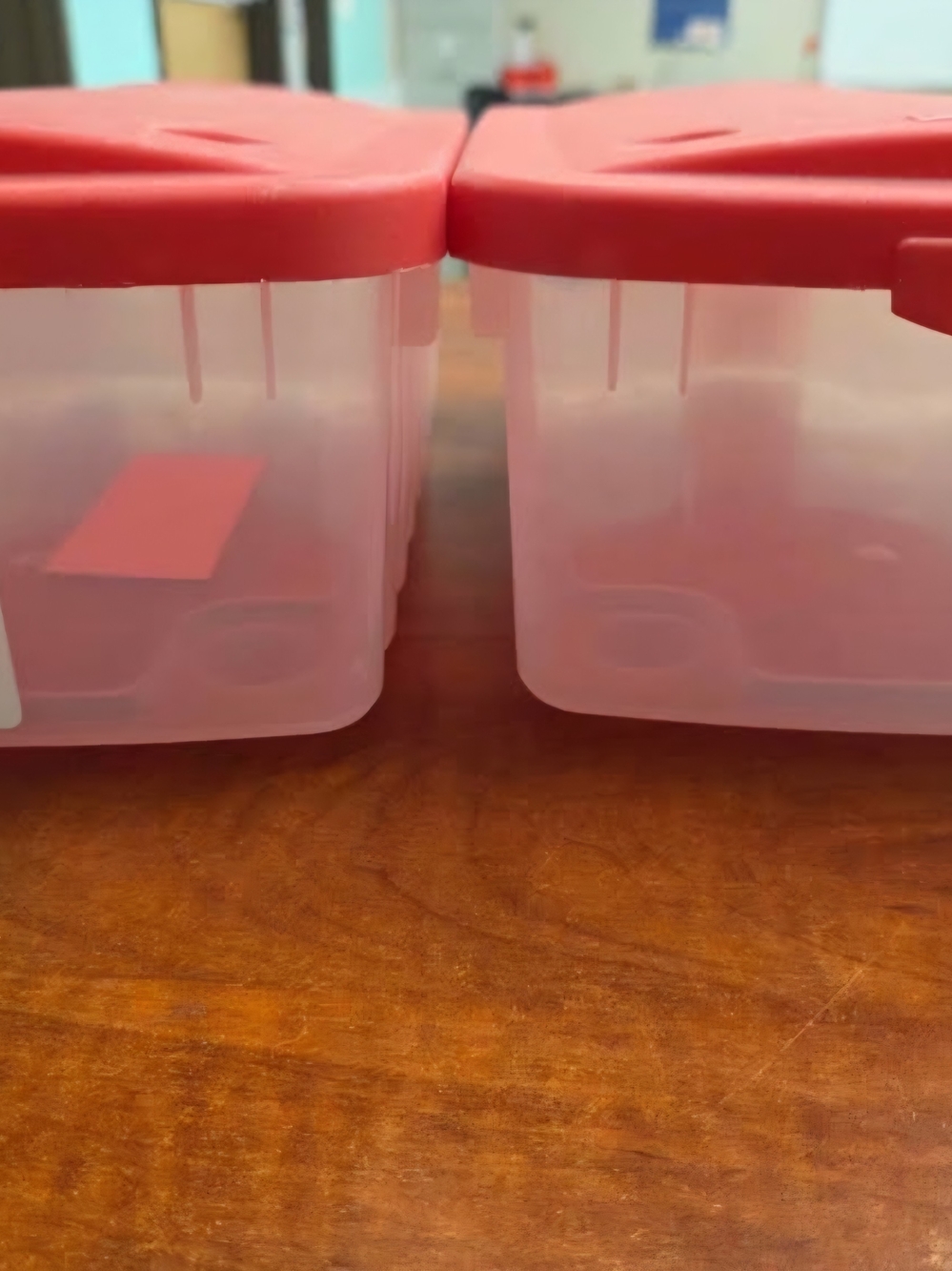 Set of 2 Clear Rubbermaid Plastic Storage Containers 5.6 Quart (Shoebox Size)